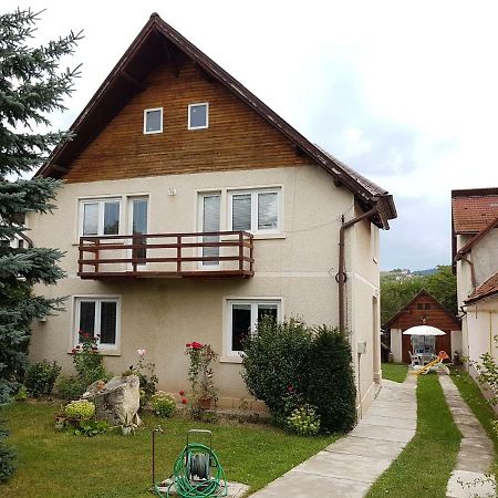 Colonia Sase Martie Casa Bunicilorヴィラ エクステリア 写真