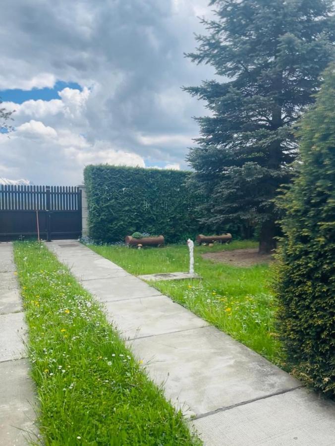 Colonia Sase Martie Casa Bunicilorヴィラ エクステリア 写真