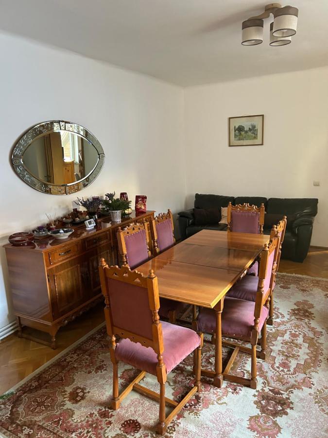 Colonia Sase Martie Casa Bunicilorヴィラ エクステリア 写真