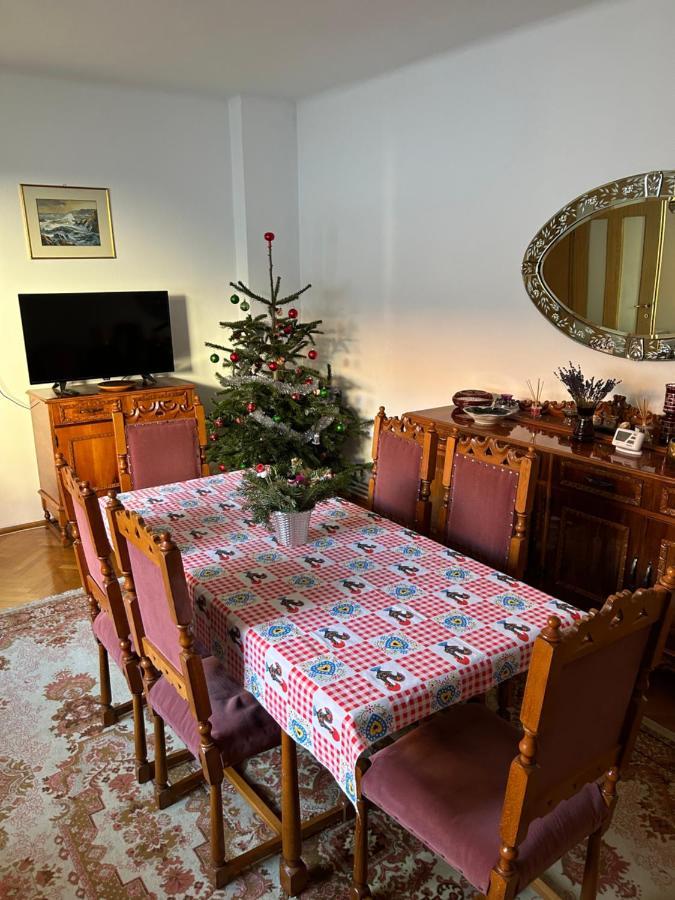 Colonia Sase Martie Casa Bunicilorヴィラ エクステリア 写真