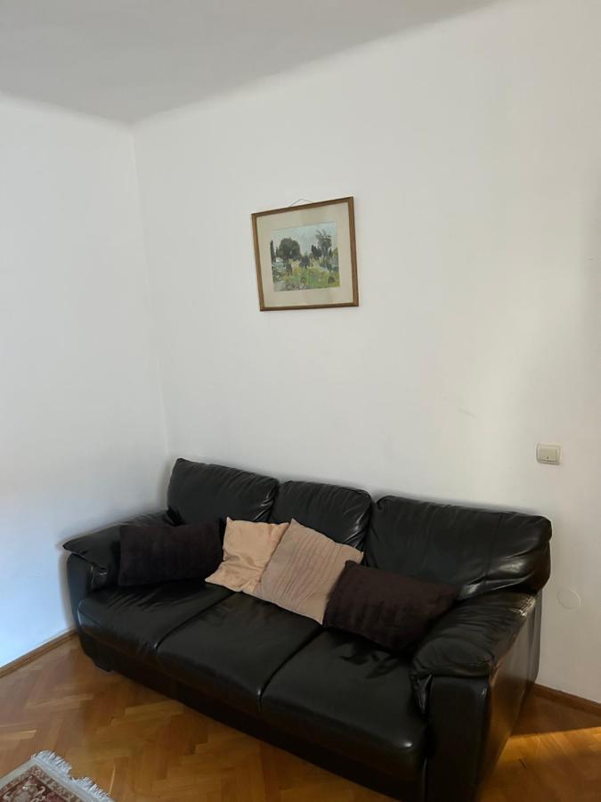 Colonia Sase Martie Casa Bunicilorヴィラ エクステリア 写真