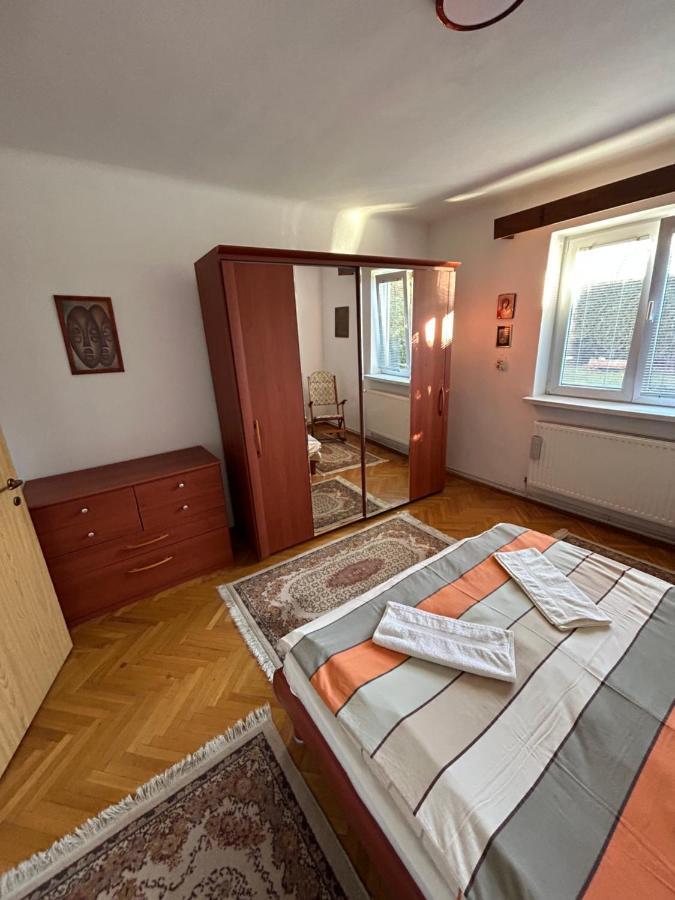 Colonia Sase Martie Casa Bunicilorヴィラ エクステリア 写真
