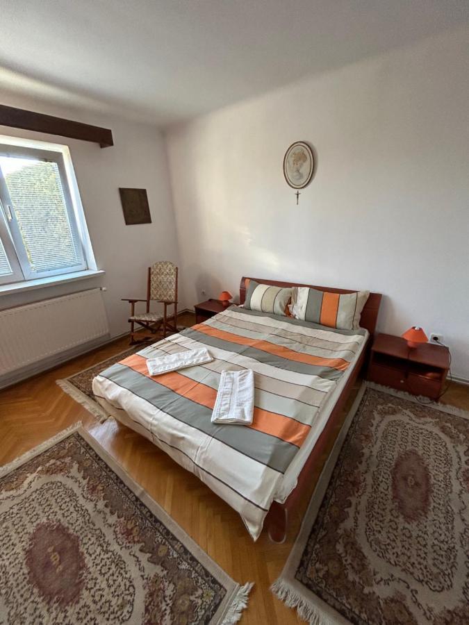 Colonia Sase Martie Casa Bunicilorヴィラ エクステリア 写真