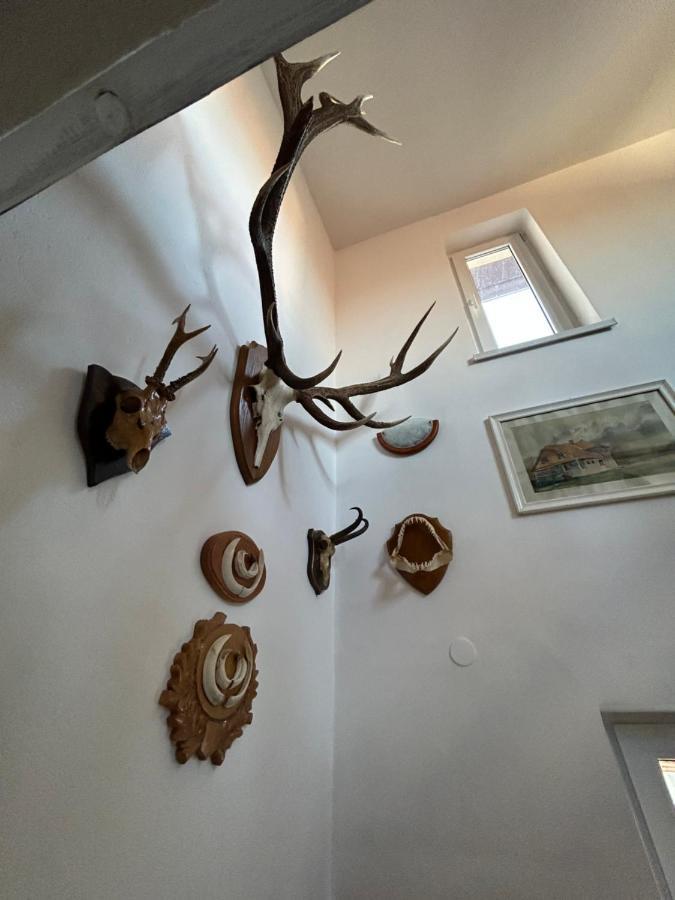 Colonia Sase Martie Casa Bunicilorヴィラ エクステリア 写真